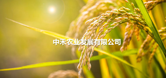 中禾农业发展有限公司